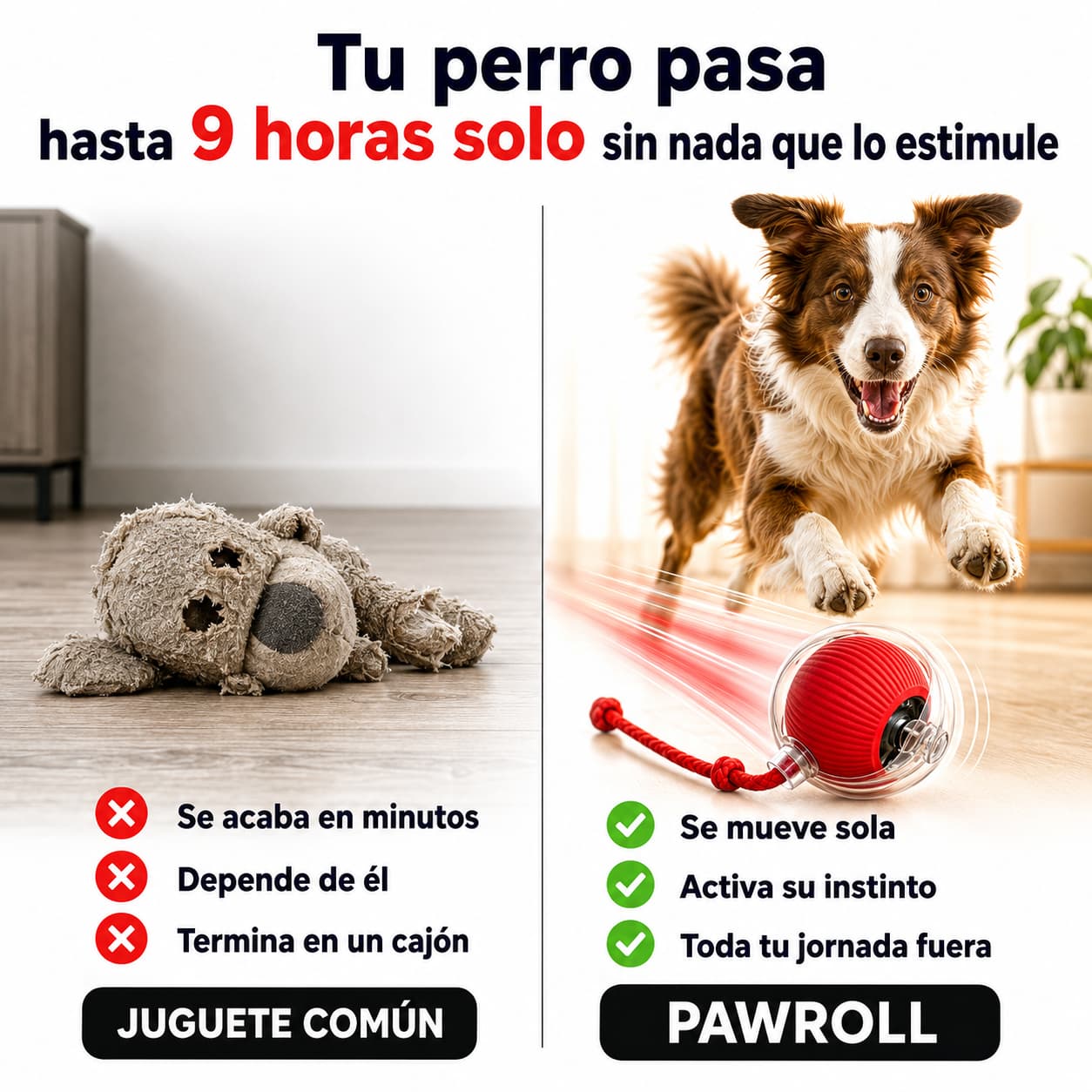 Pelota Interactiva