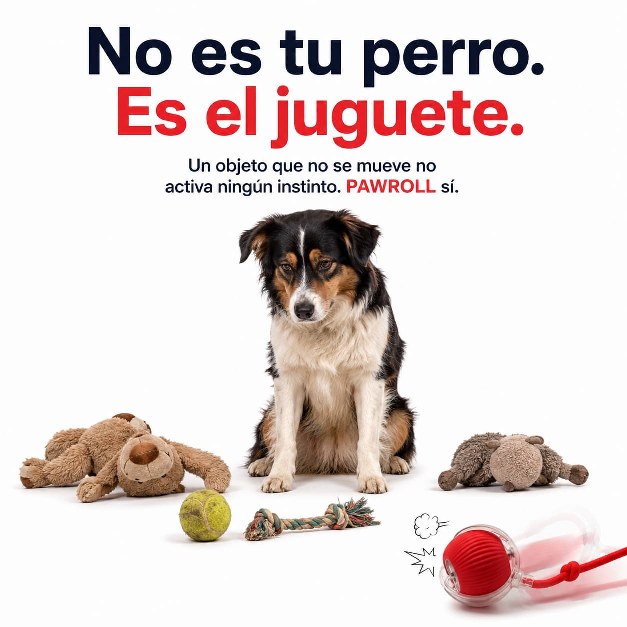 Pelota Interactiva