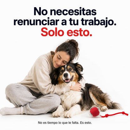 Pelota Interactiva